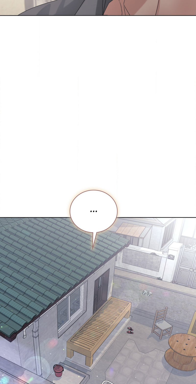 11336 page 41