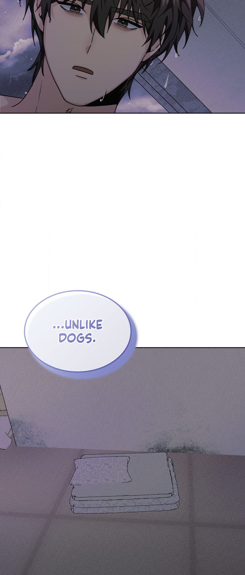 11336 page 26