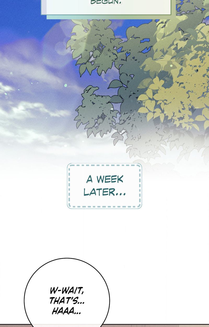 11336 page 38