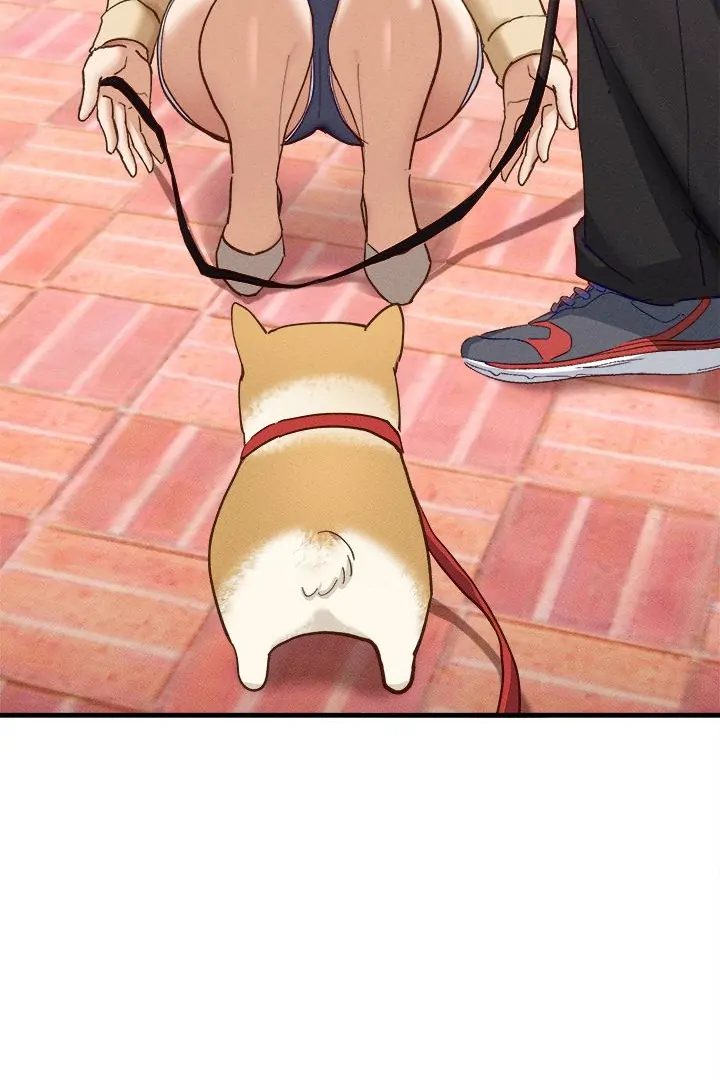 I Became a Dog! page 44