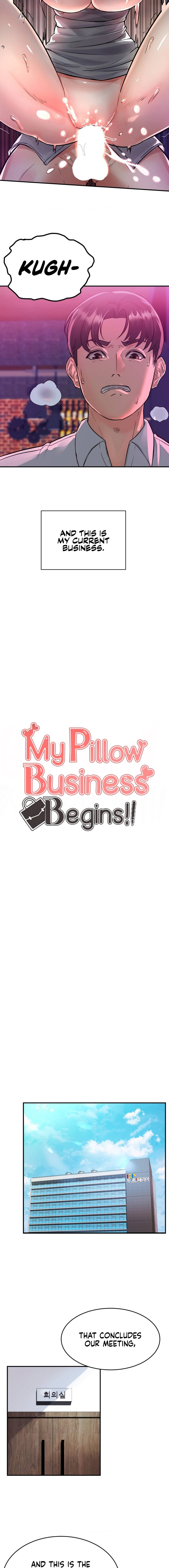 My Pillow Business Begins! page 3