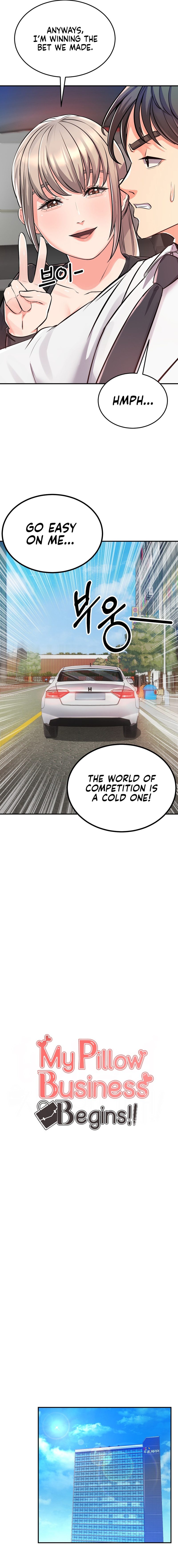 My Pillow Business Begins! page 5