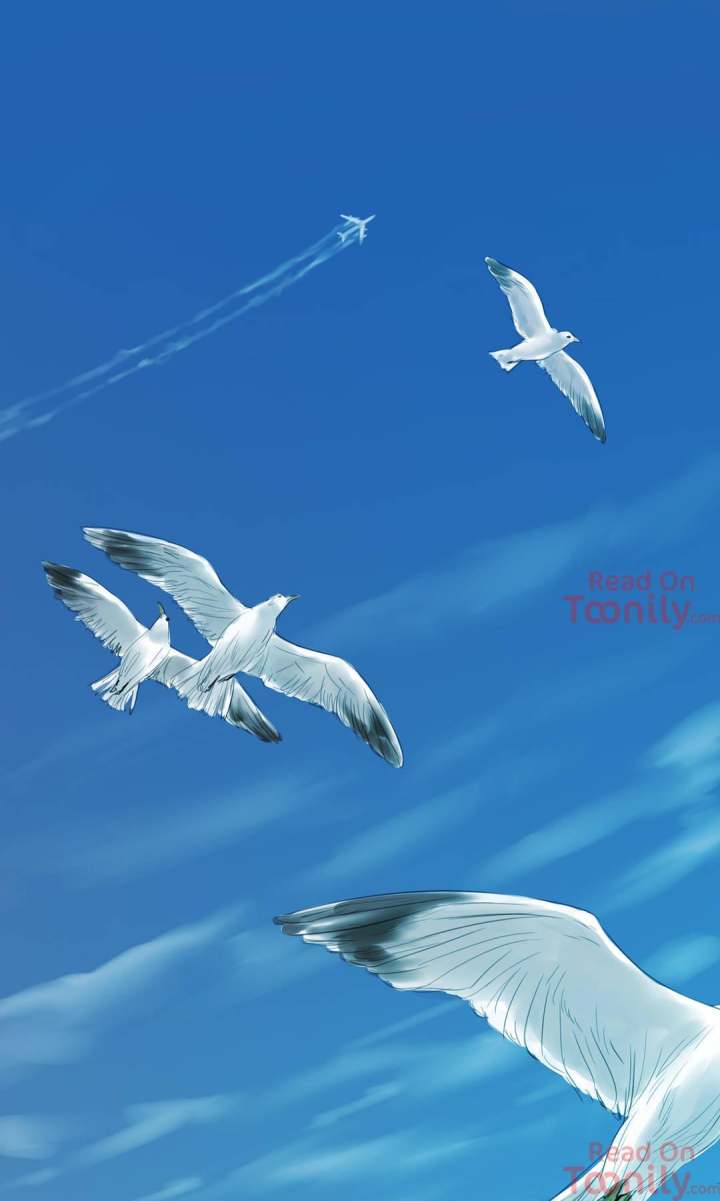 Origin of Sensibility page 1