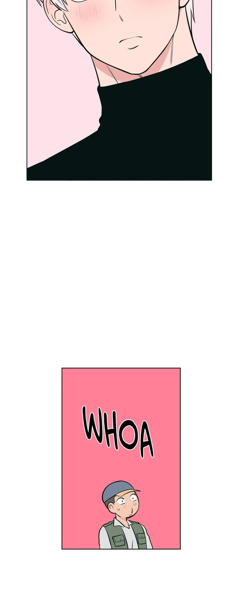 Peach Sorbet page 19