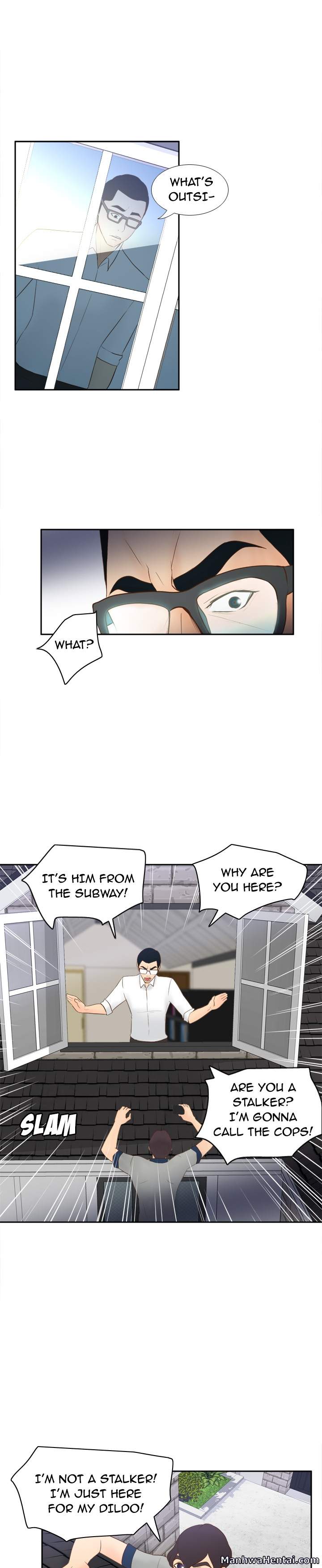 S Link page 17