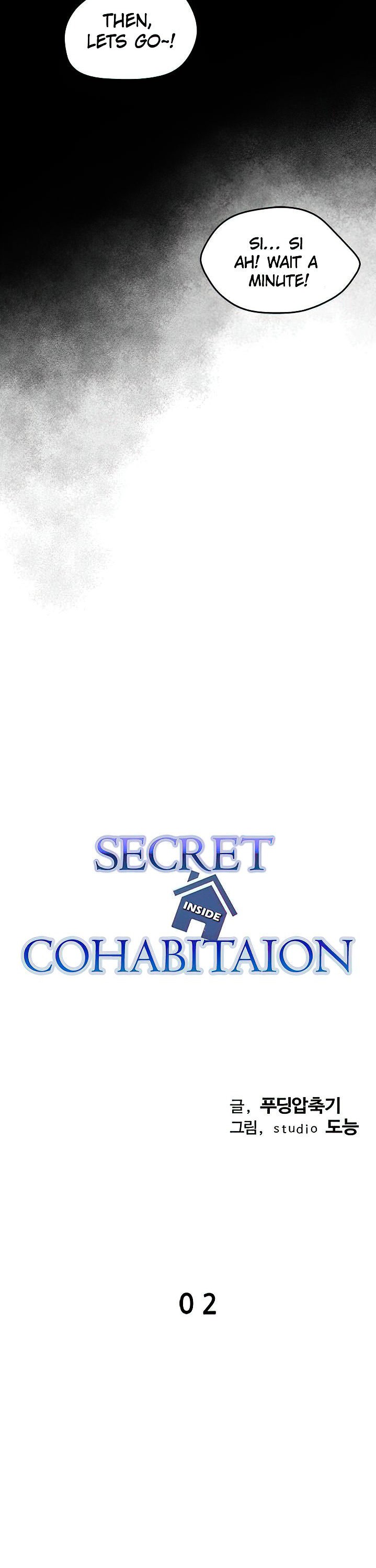 Secret Cohabitation page 21