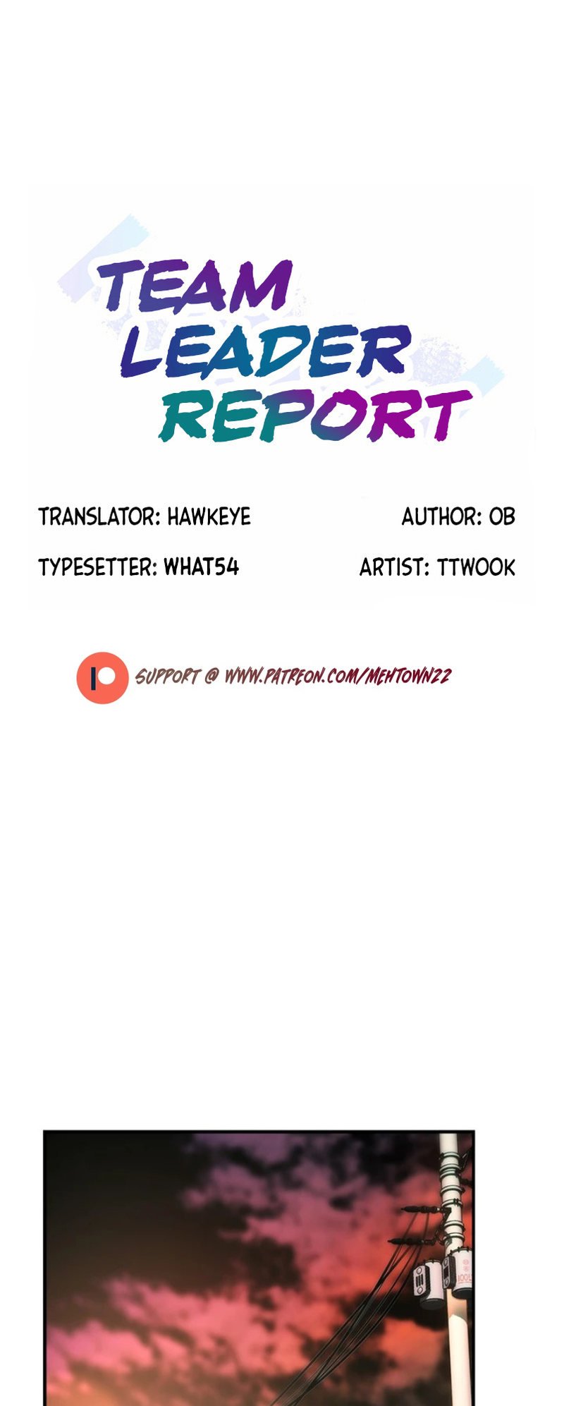 Team Leader Report page 1