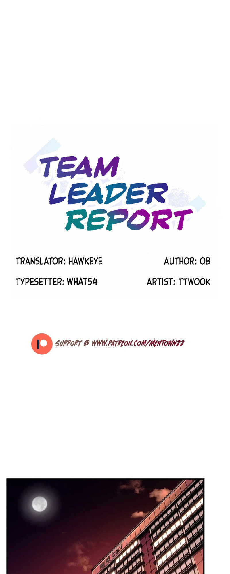 Team Leader Report page 1
