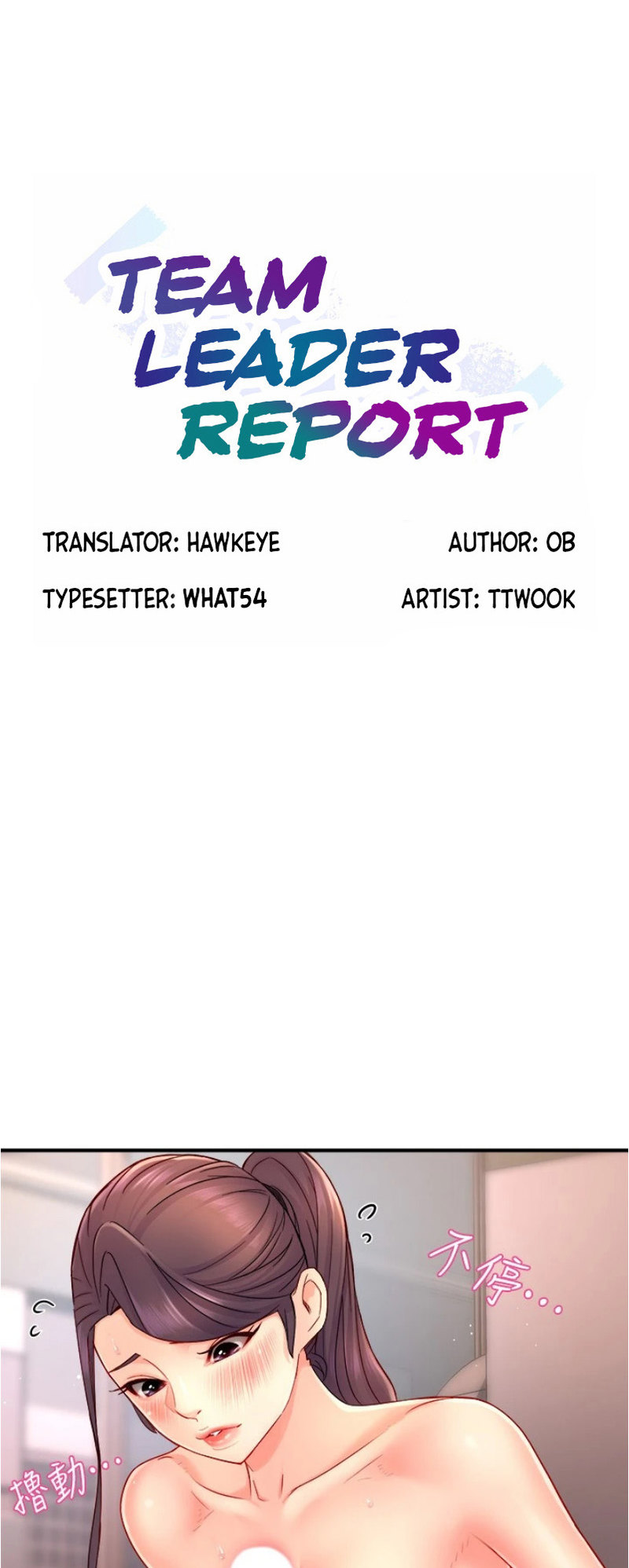 Team Leader Report page 1