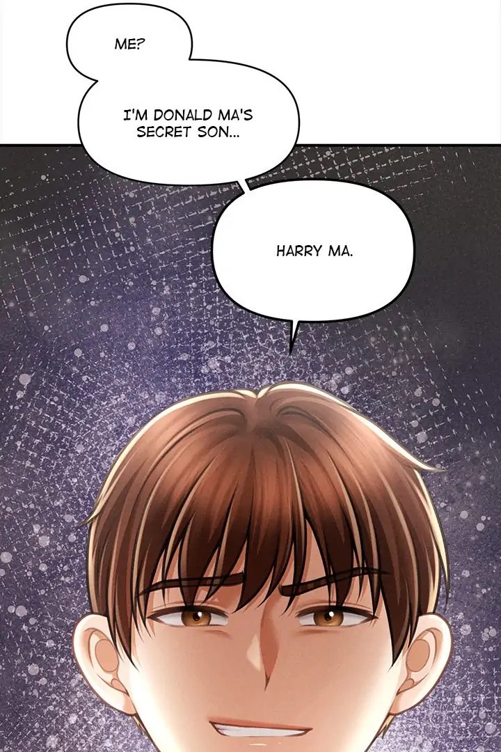 The Chairman’s Secret Son page 52