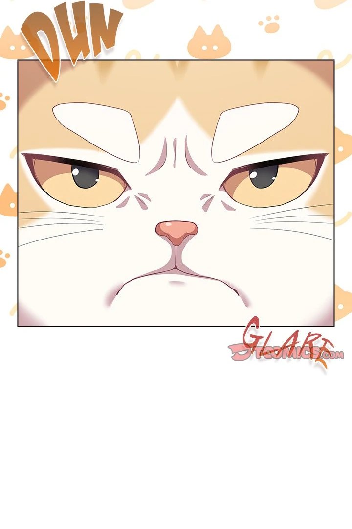 The General Is Here! page 56