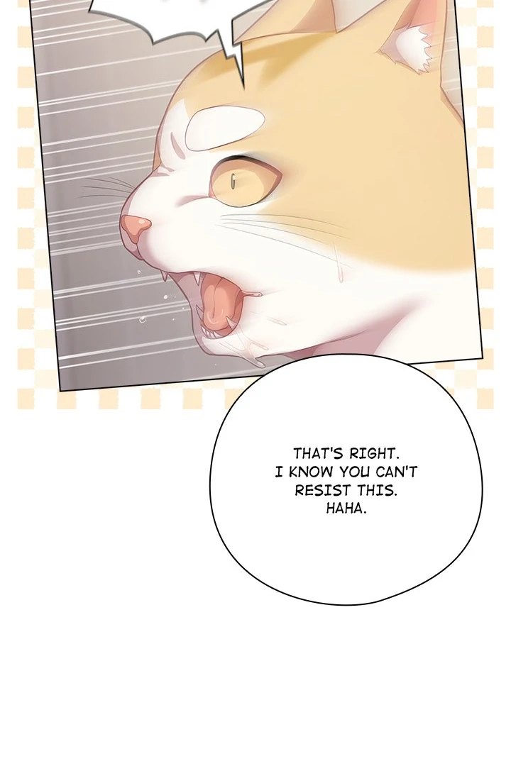 The General Is Here! page 66
