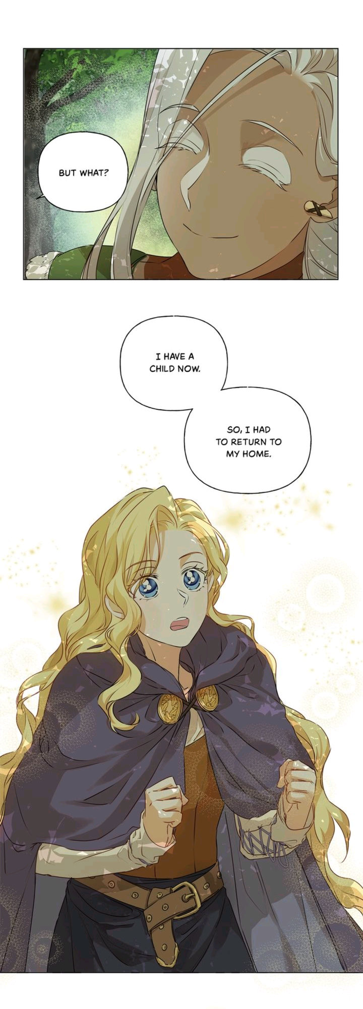 The Golden Haired Elementalist page 39