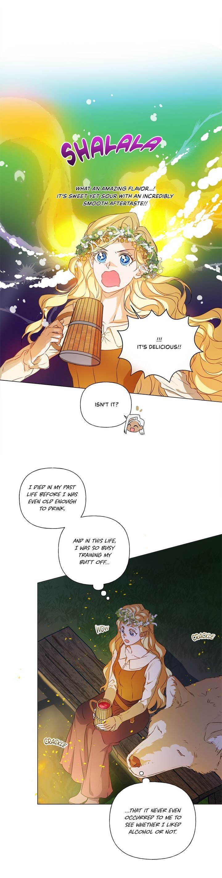 The Golden Haired Elementalist page 21