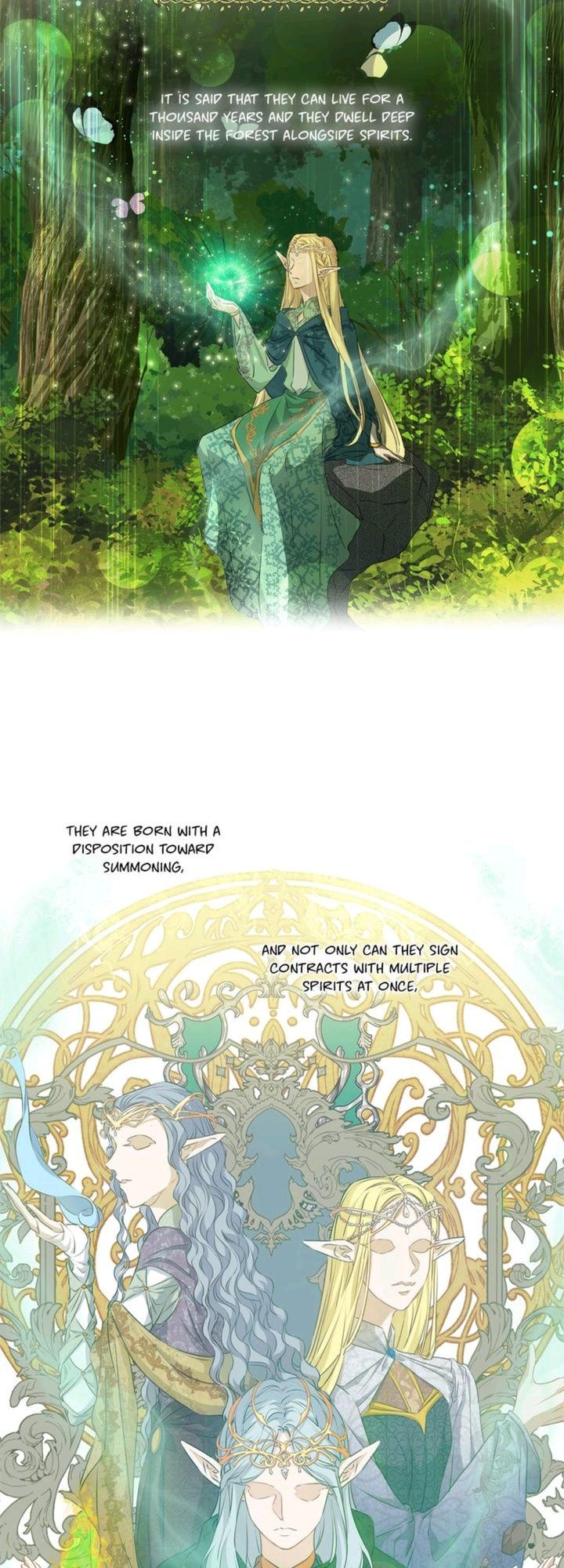 The Golden Haired Elementalist page 39
