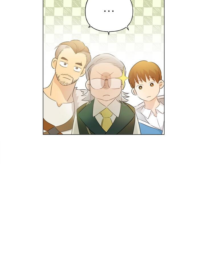 The Golden Haired Elementalist page 41