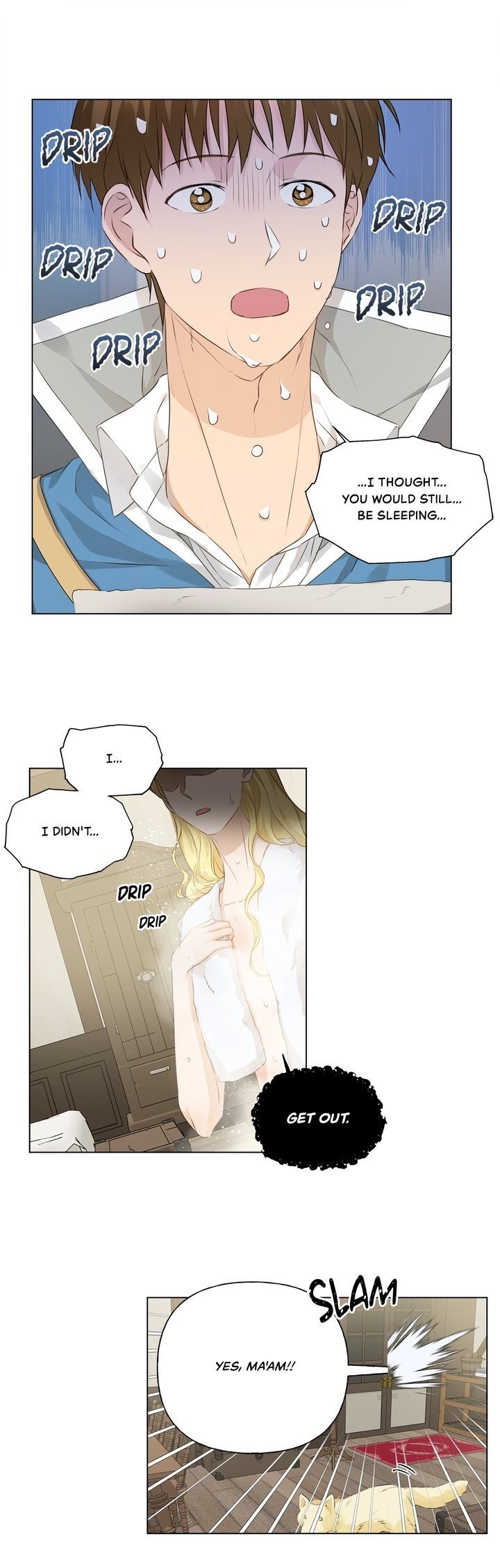 The Golden Haired Elementalist page 23