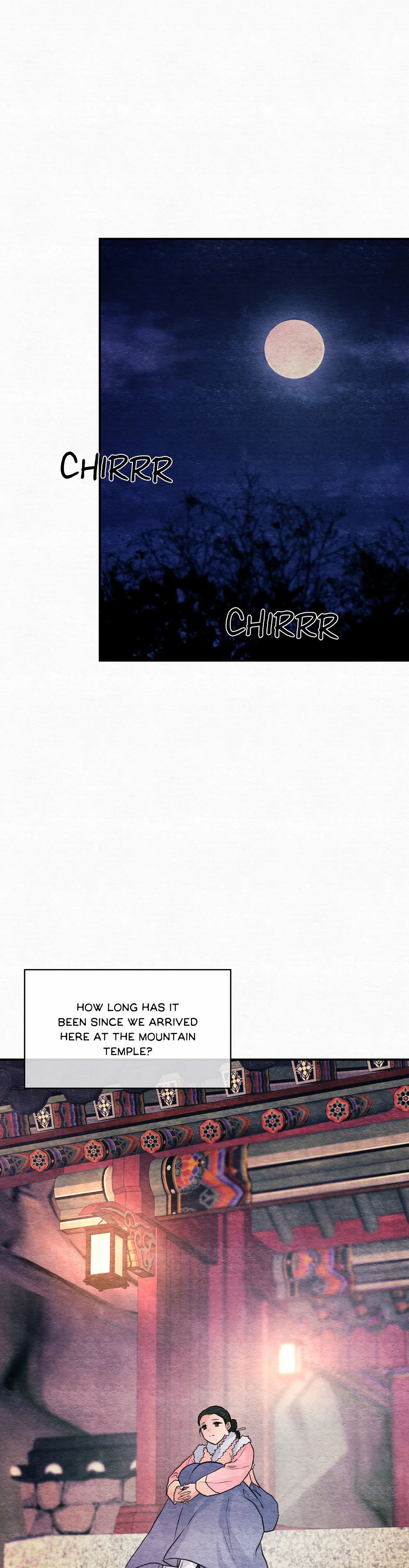 Wild Eyes page 37
